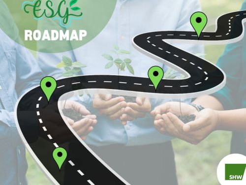 Creating and implementing your ESG Roadmap    