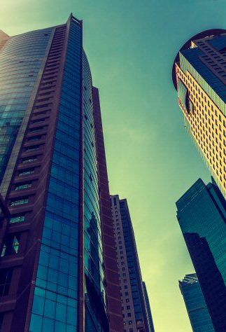 Professional Consultancy