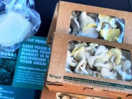 VEGAN MARKET A SELL-OUT FOR ASHFORD'S ELWICK PLACE